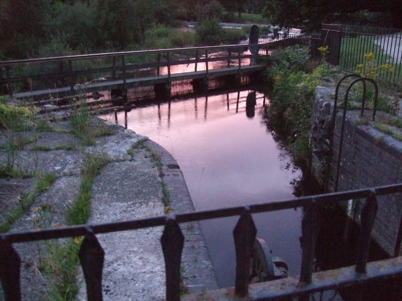 10 Horseshoe Falls Feeder