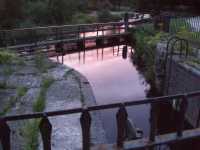 10 Horseshoe Falls Feeder