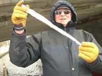 Big icicle