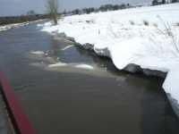 Ice flows up the Colden