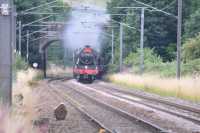 The Waverley 1