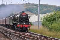 The Waverley 3
