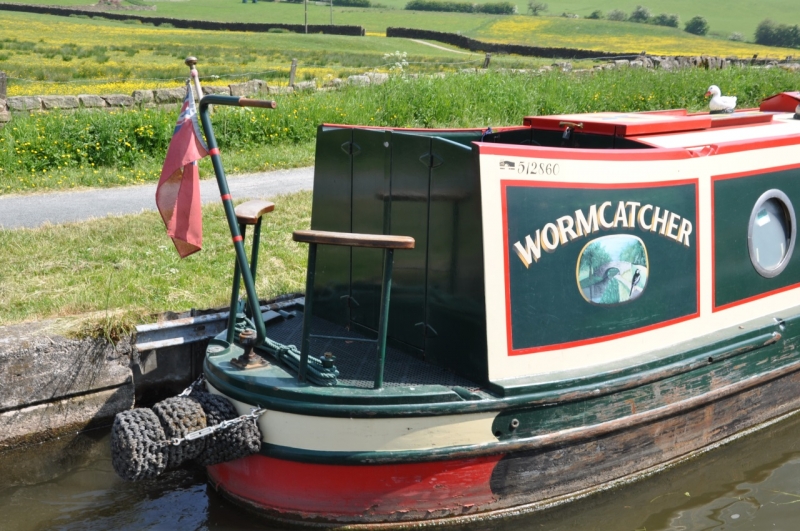 Wormcatcher
