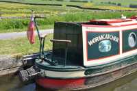 Wormcatcher