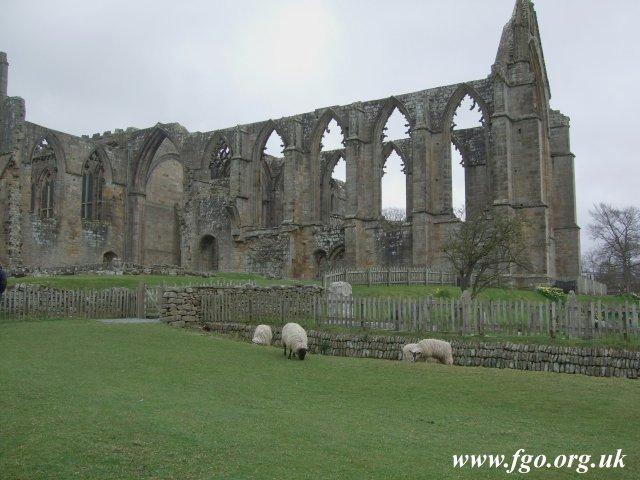 Bolton Priory - 05