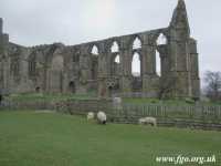 Bolton Priory - 05