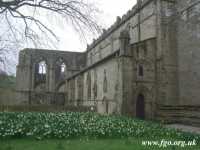 Bolton Priory - 12