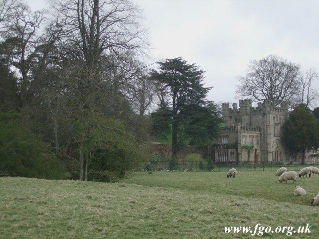 Bolton Priory - 08
