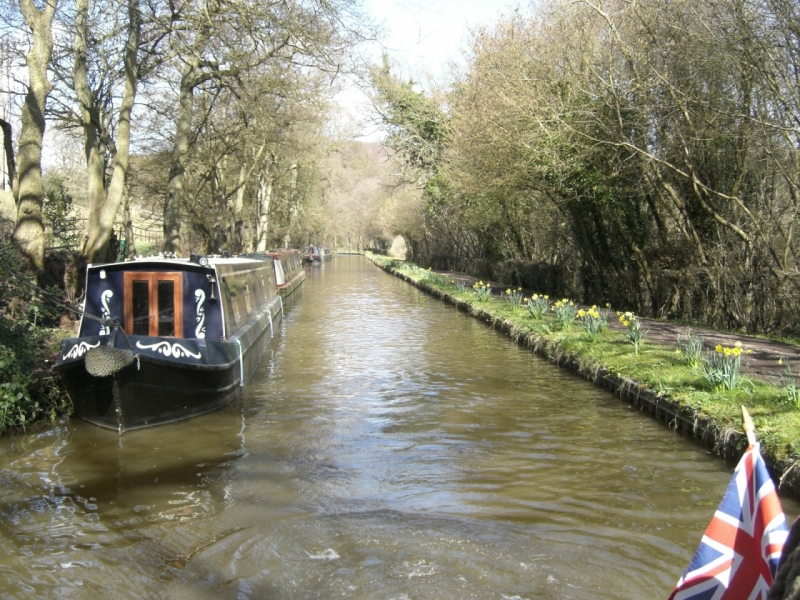 Colden Canal