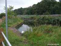 03 - Open Sewer to the River Mersey.