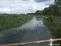 16 - Fidlers Ferry
