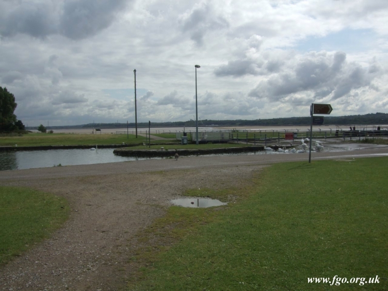 10 - Twin Locks