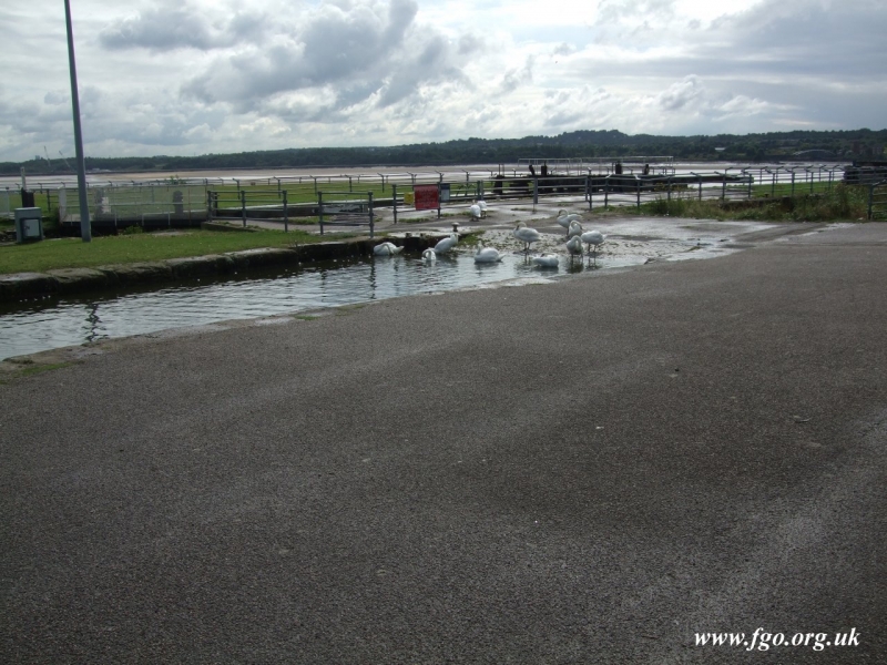 09 - Twin Locks