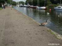 05 - West Bank Moorings
