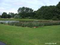 17 - Wet Dock